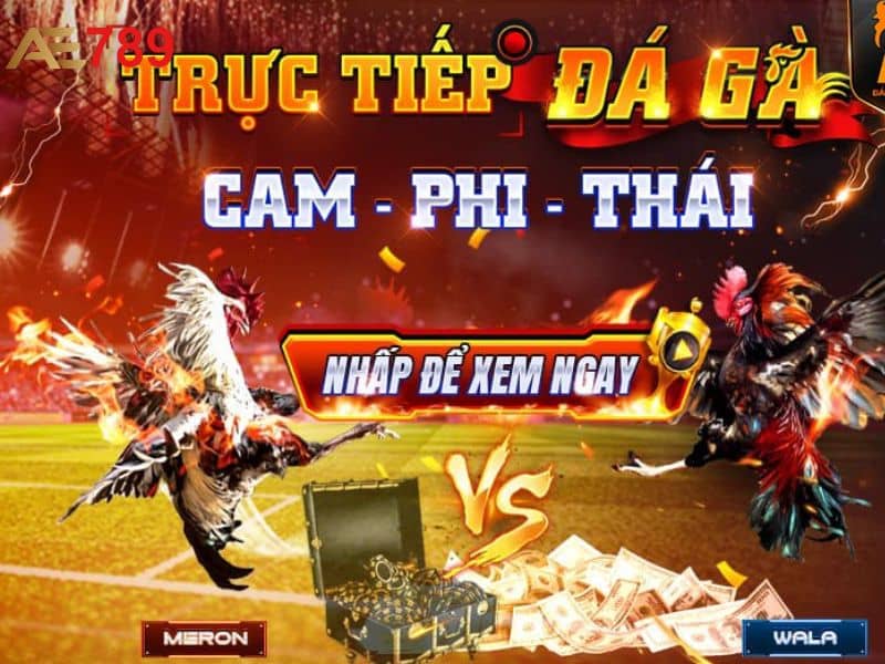 AE789 là sân chơi uy tín và chất lượng dành cho game thủ