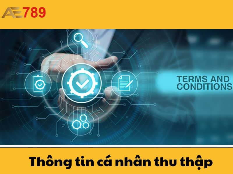 Thông tin của người chơi sẽ được nhà cái thu thập